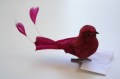 Veren vogel donker roze mooie staart